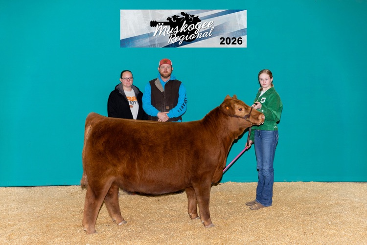 Regional Livestock Show