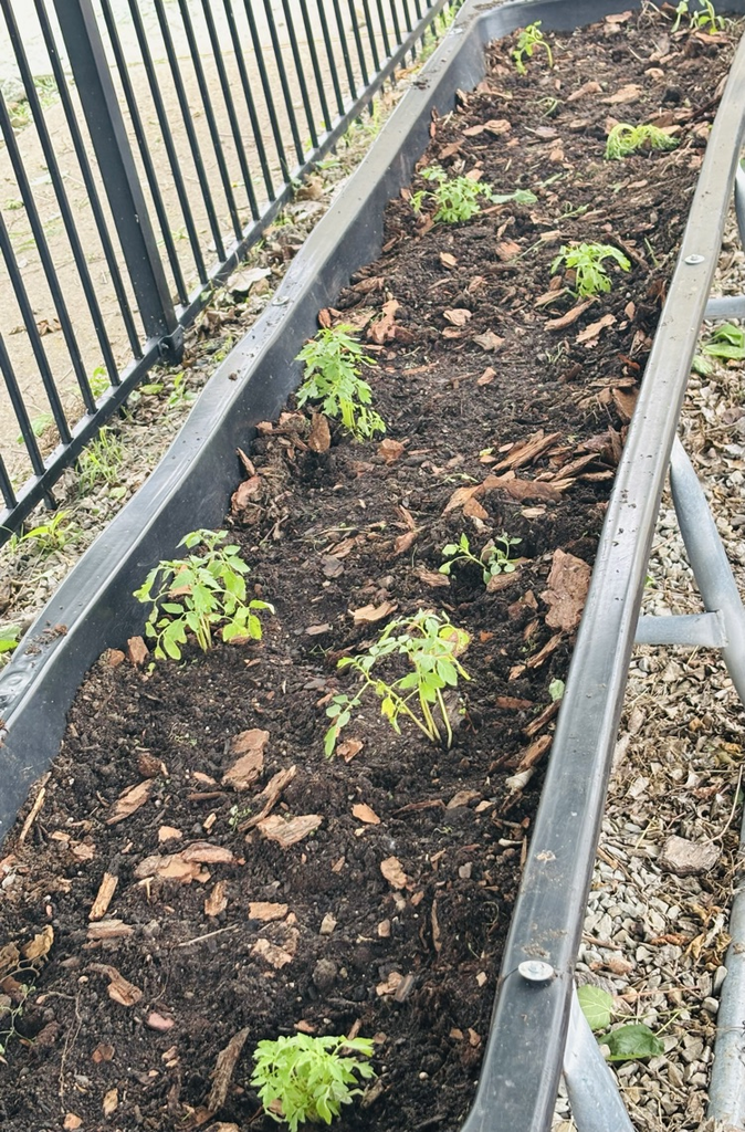 Elem. Garden