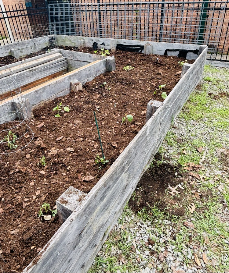 Elem. Garden