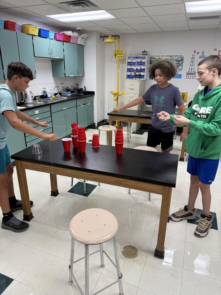 lab