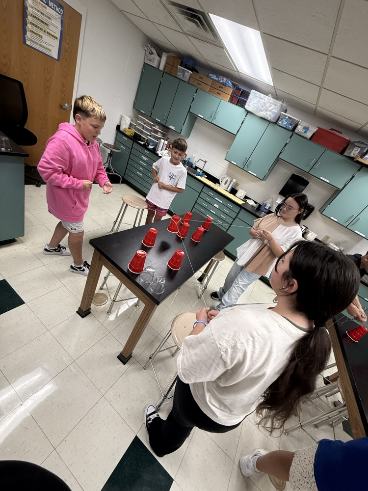 lab