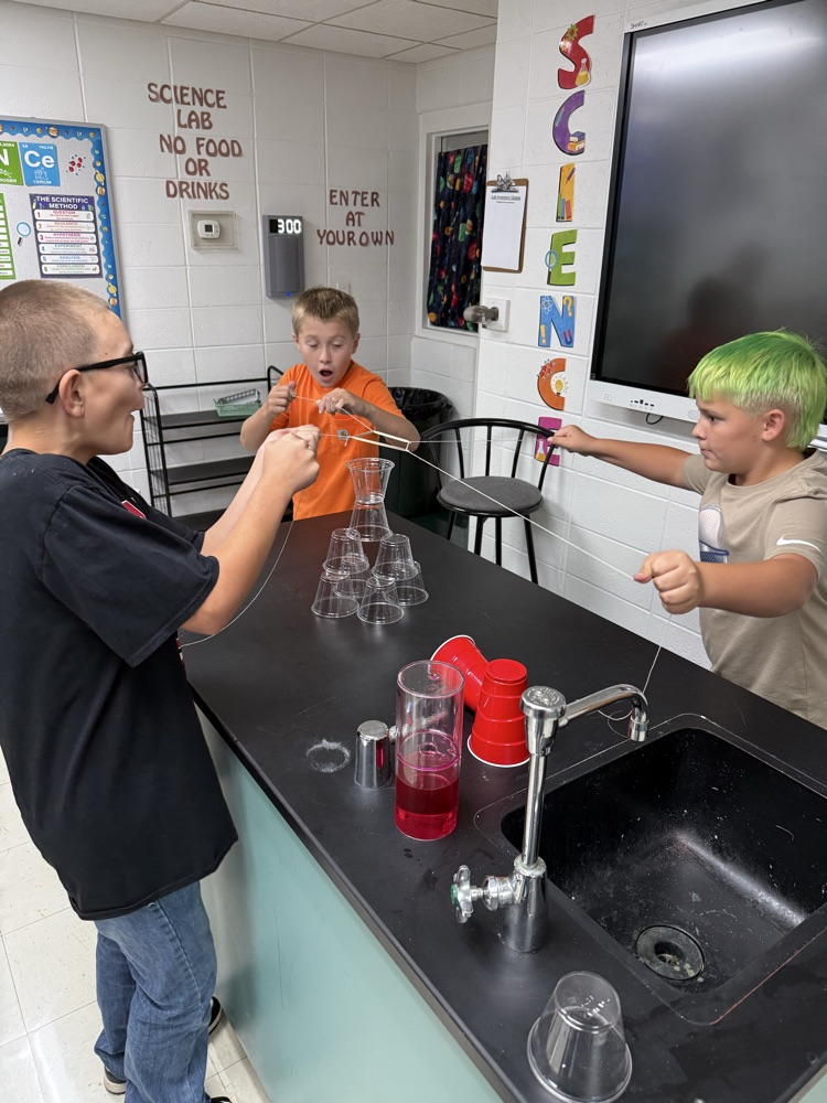 lab