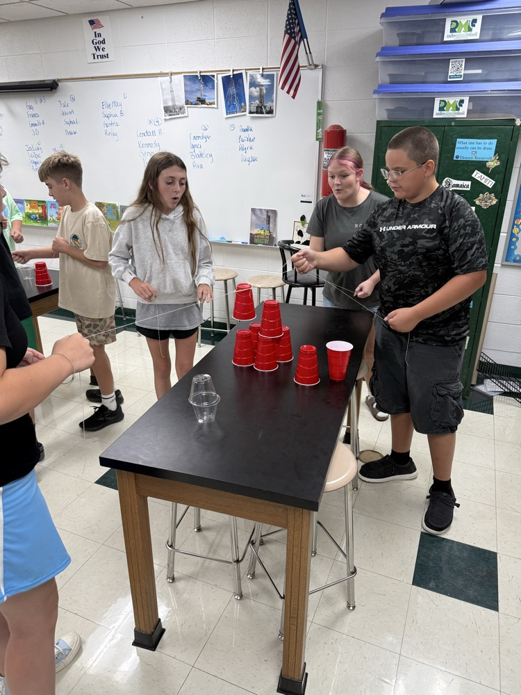 lab