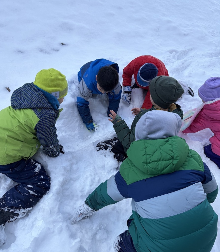 621855429_1288741779948115_690067559865490097_n