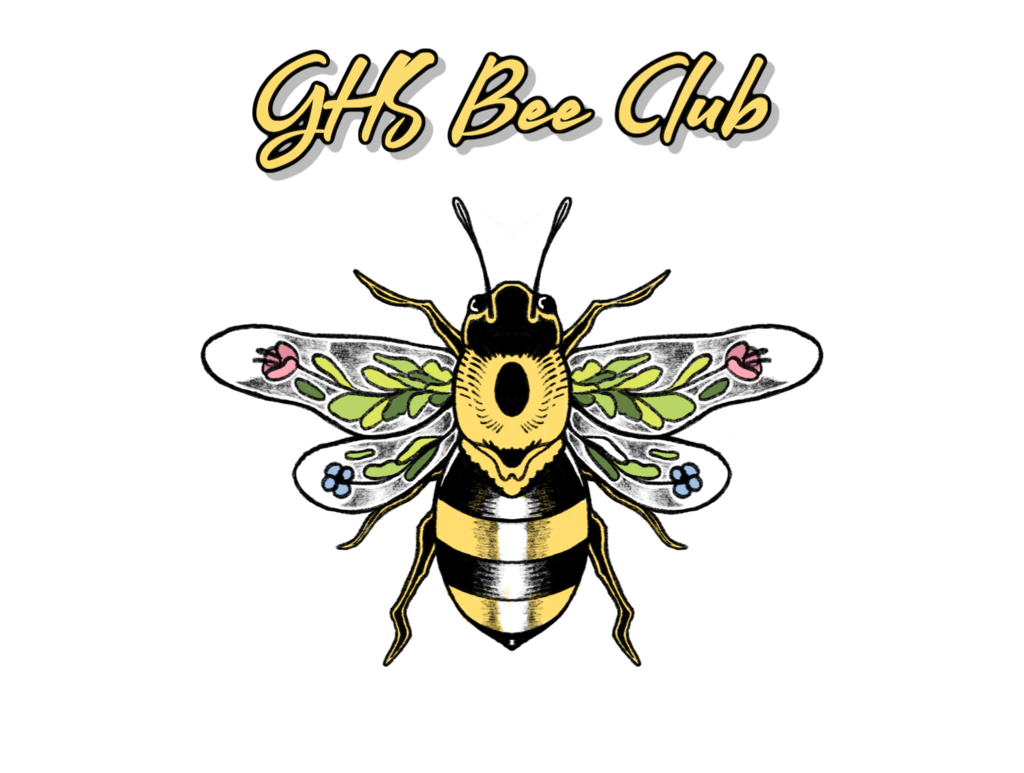bee club