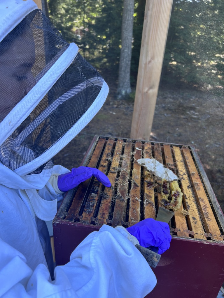 Bee Club