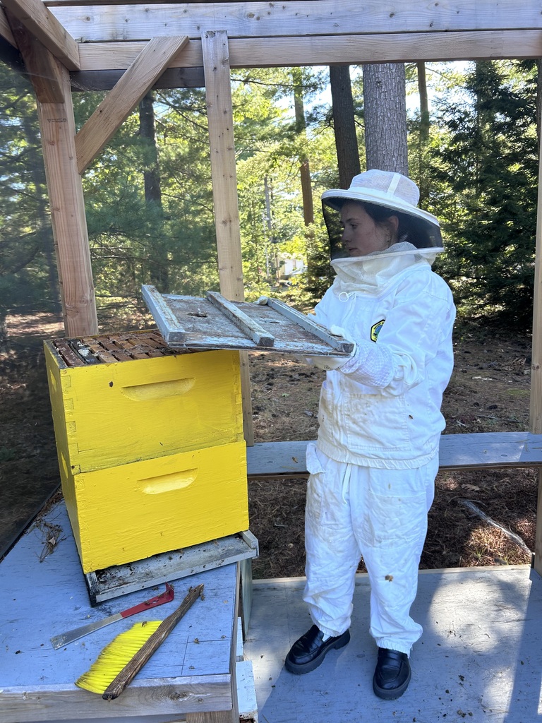 Bee Club