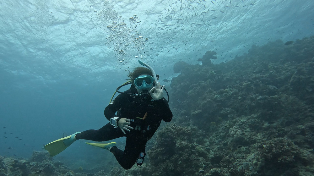 photo of scuba diver