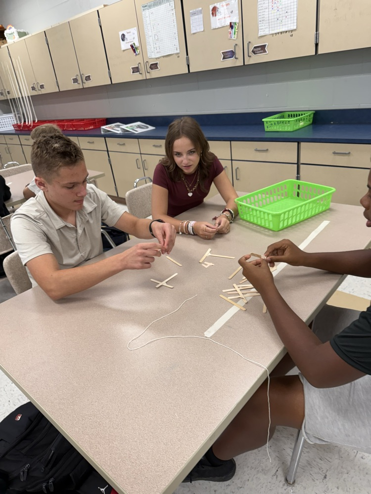 Mrs. Reitter’s (Shelanskey) Science class made inquiries and observations when given a set of supplies. Students tried to build the biggest standing tower!