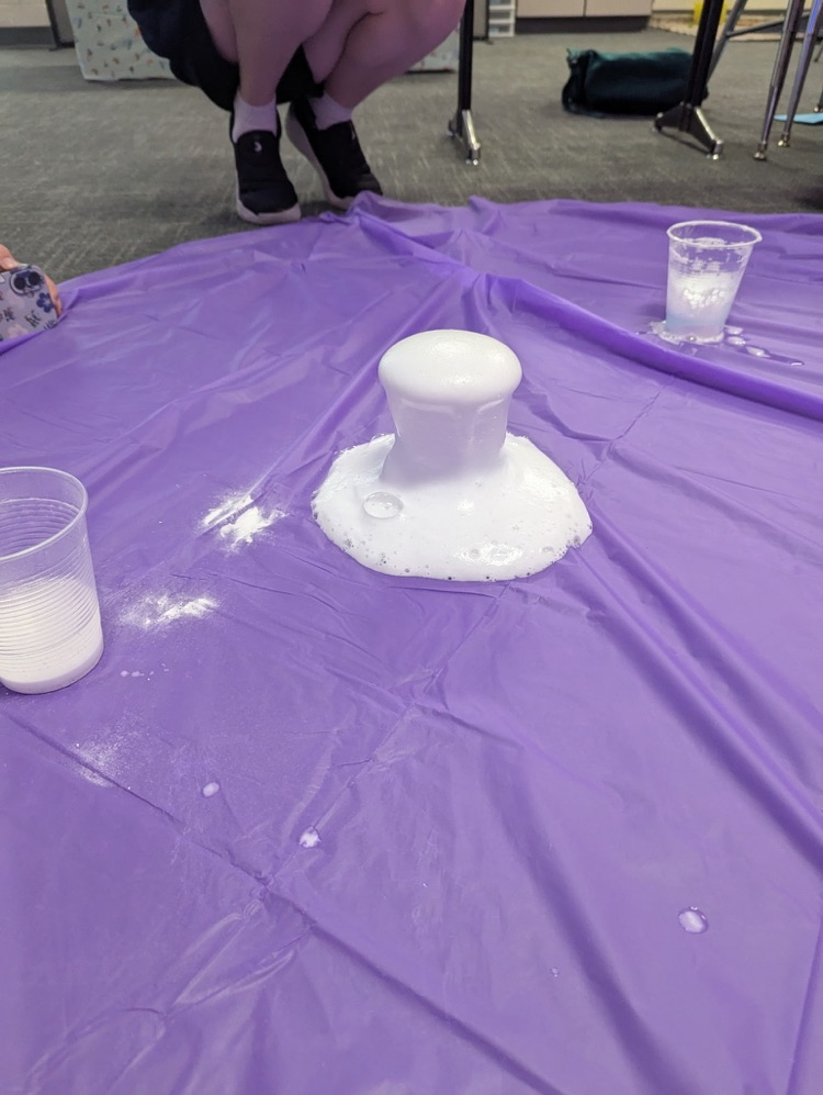 Students in Mrs. Kallmeyer’s and Mr. Hines’ classes had a blast today experimenting with chemical reactions! With a little mixing and a lot of curiosity, they created some fun foaming explosions while learning about the science behind it all.
