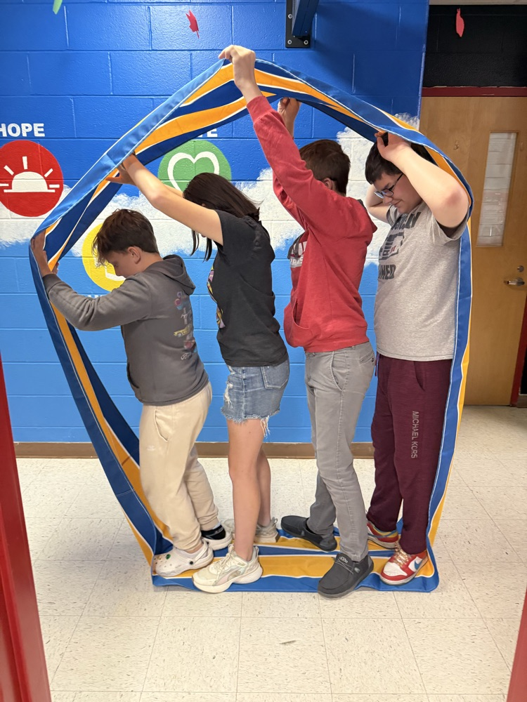 GMS Peer Mentoring Groups