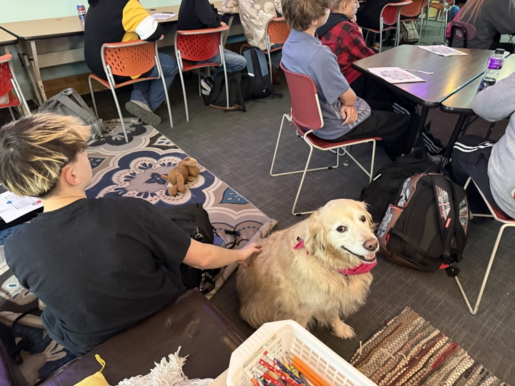 Mr. Walt discusses the high school I.T. program!