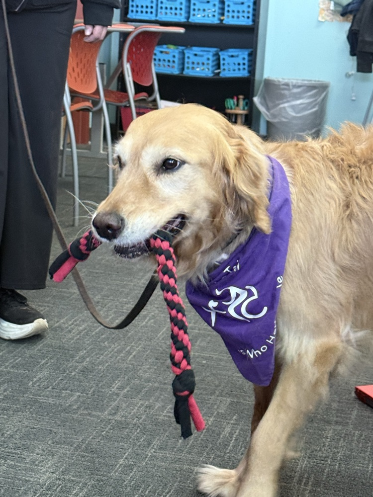 Students visit with Circle Tail ambassadors!