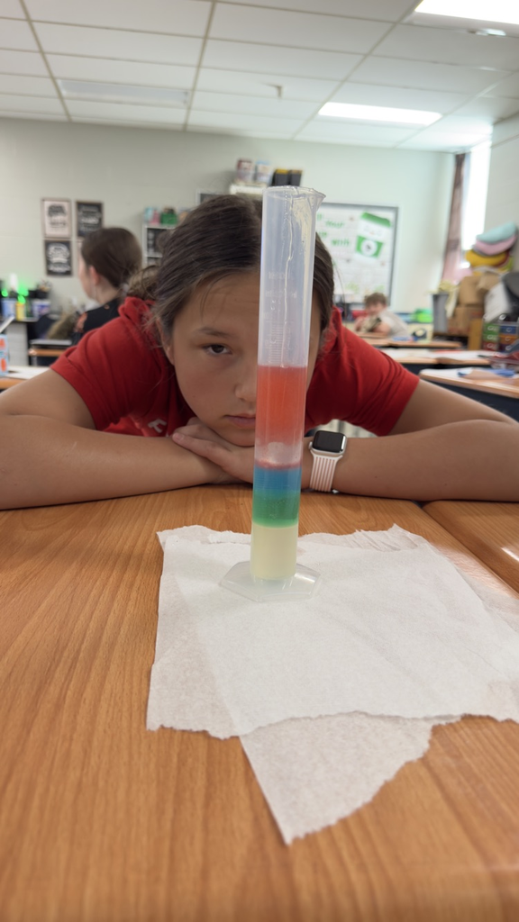 GMS 6th grade students in Mrs. Velagic's class participated in a Density Tower Lab! 