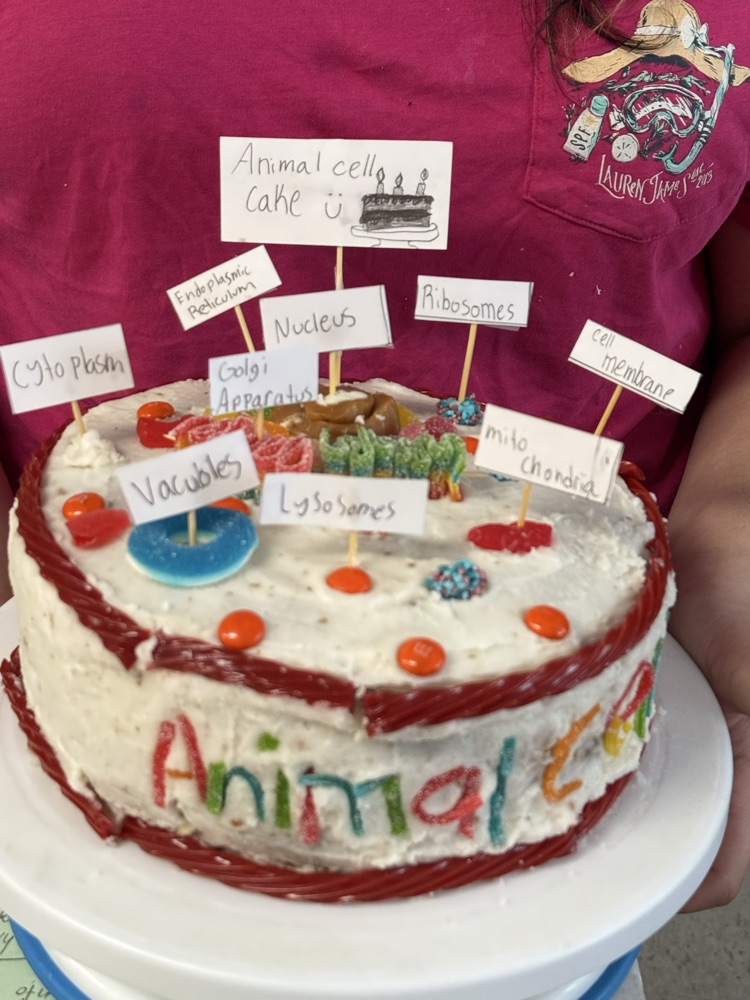 Sixth grade students recently completed their cell unit in science class. For their ending projects, students created games, infomercials, stop animation videos, children’s books, cakes, models and even a crocheted plant cell! 