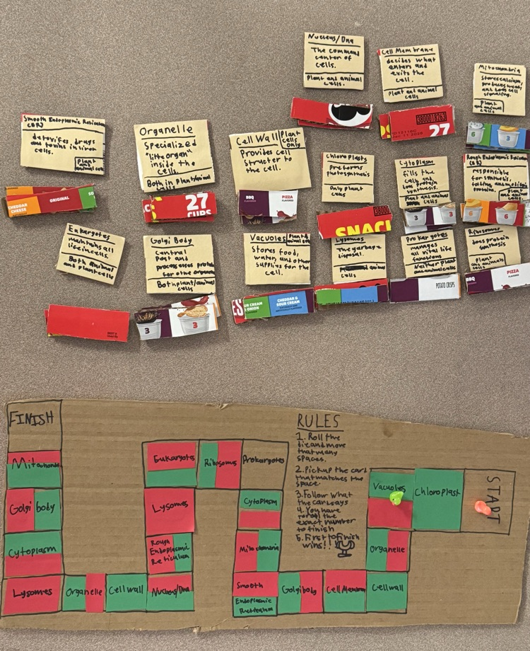 Sixth grade students recently completed their cell unit in science class. For their ending projects, students created games, infomercials, stop animation videos, children’s books, cakes, models and even a crocheted plant cell! 