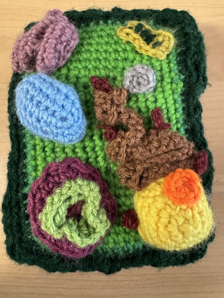 Sixth grade students recently completed their cell unit in science class. For their ending projects, students created games, infomercials, stop animation videos, children’s books, cakes, models and even a crocheted plant cell! 