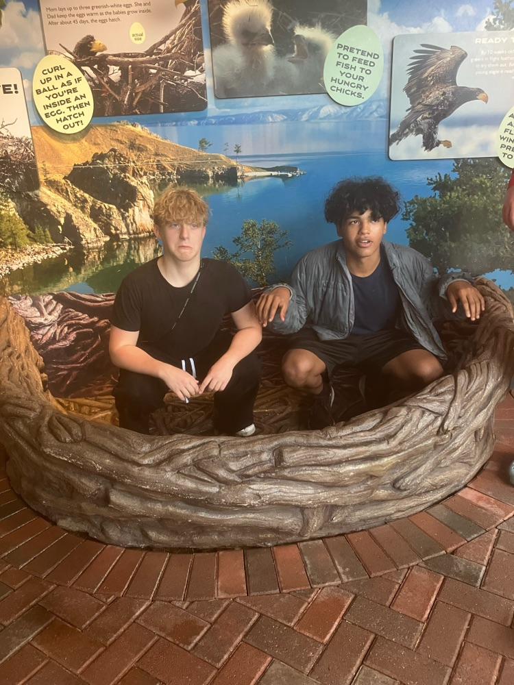 GMS 8th graders took on the zoo today! The new(ish) Elephant exhibit was beautiful and we all had to much fun!
