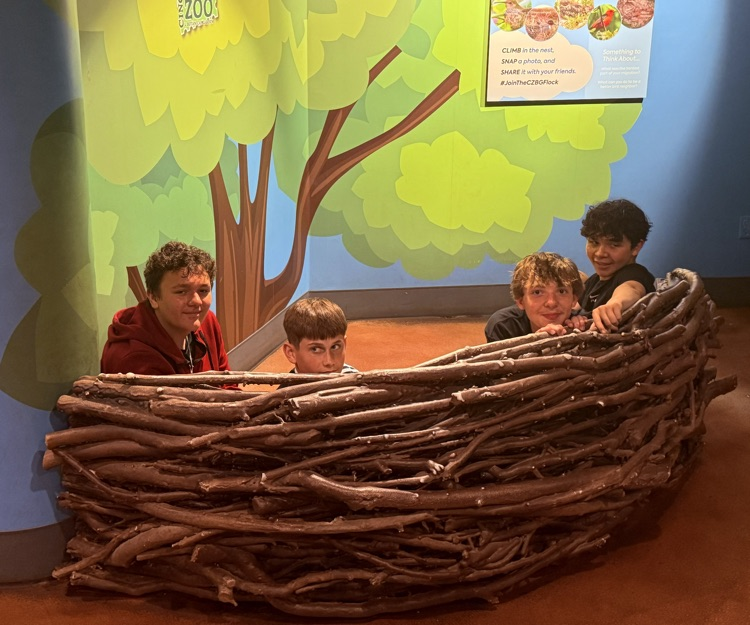 GMS 8th graders took on the zoo today! The new(ish) Elephant exhibit was beautiful and we all had to much fun!