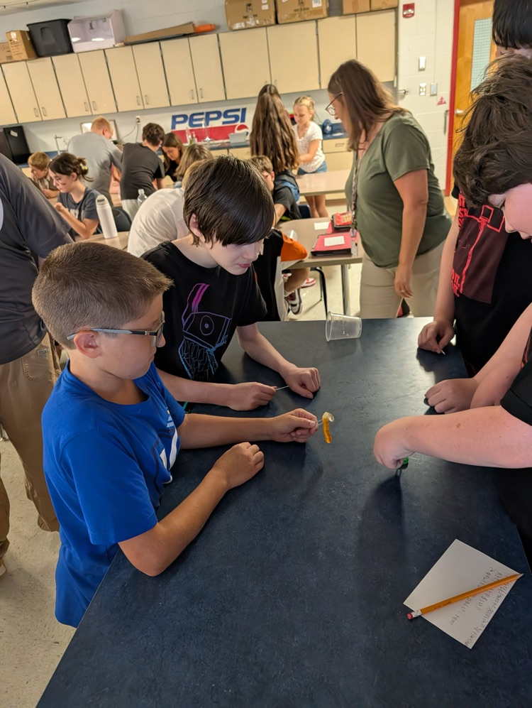 There have been so many different things going on at GMS this week!