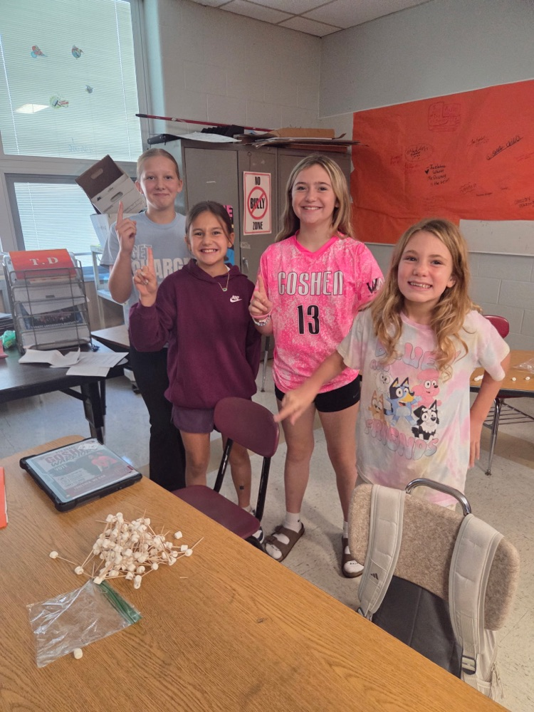 GMS students in Mrs. Wood's Health class learned about group decision making today!