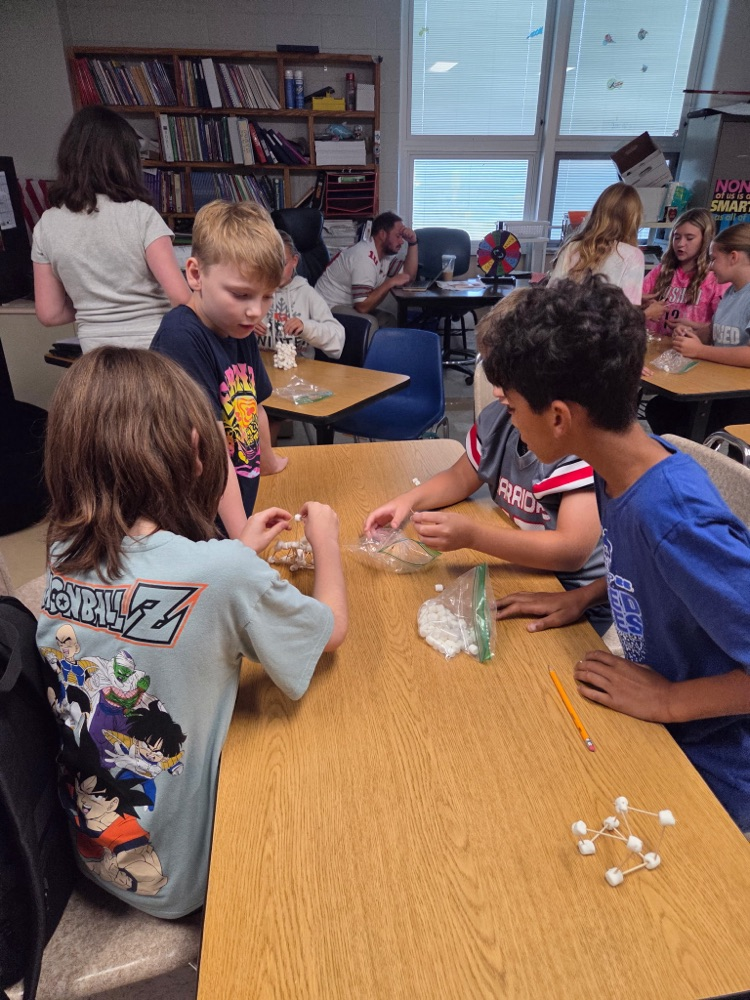 GMS students in Mrs. Wood's Health class learned about group decision making today!