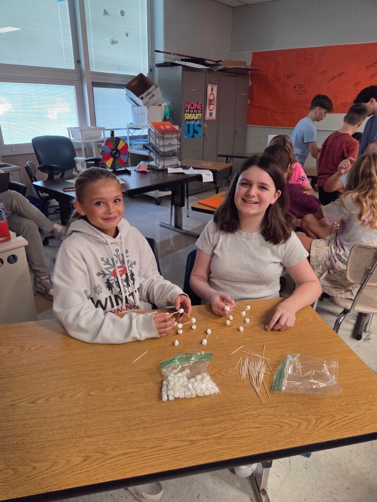 GMS students in Mrs. Wood's Health class learned about group decision making today!