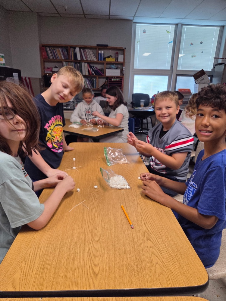 GMS students in Mrs. Wood's Health class learned about group decision making today!