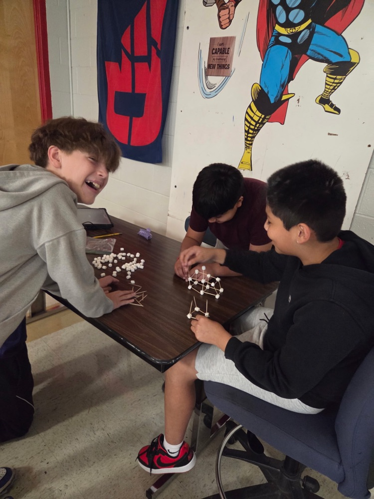 GMS students in Mrs. Wood's Health class learned about group decision making today!