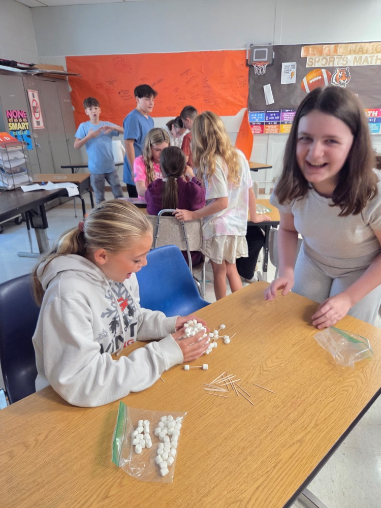 GMS students in Mrs. Wood's Health class learned about group decision making today!