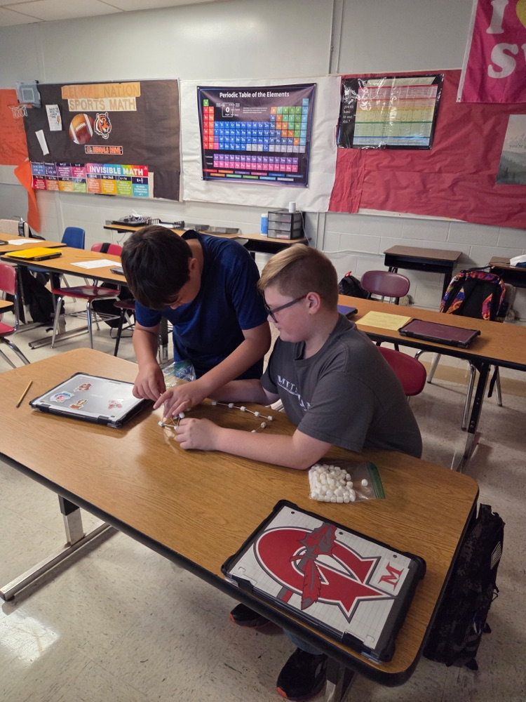 GMS students in Mrs. Wood's Health class learned about group decision making today!