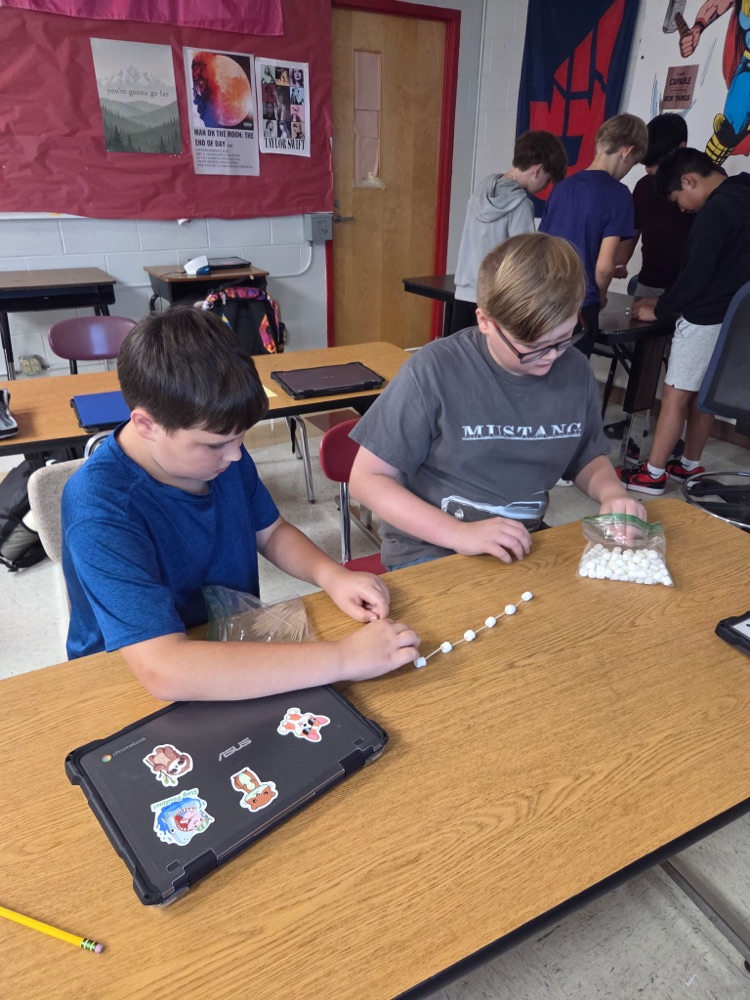 GMS students in Mrs. Wood's Health class learned about group decision making today!