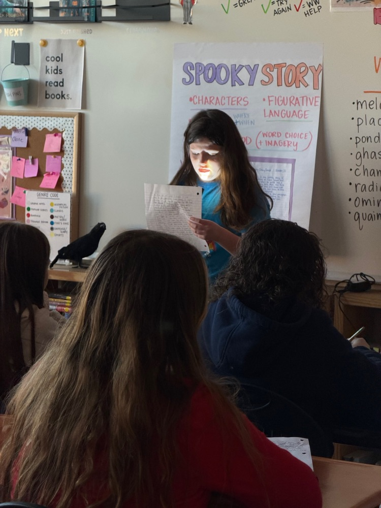 Students in Mrs. Fine's class have been working on creative writing in ELA.