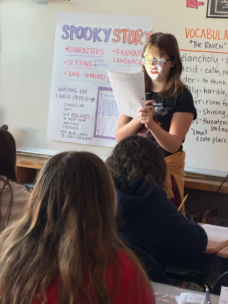 Students in Mrs. Fine's class have been working on creative writing in ELA.