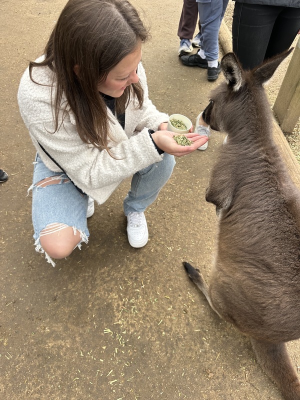 photo of woman feeding kangaroo