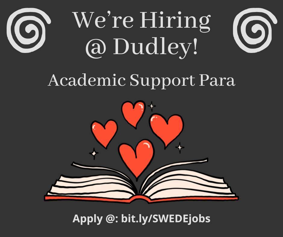 MTSS Academic Support Para