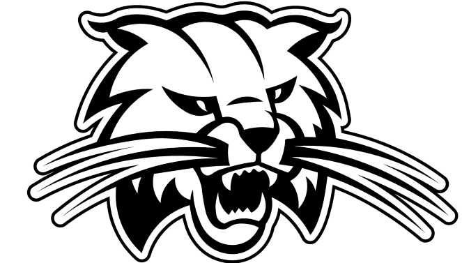Wildcat