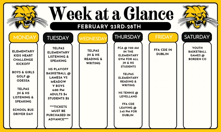week at a glance 