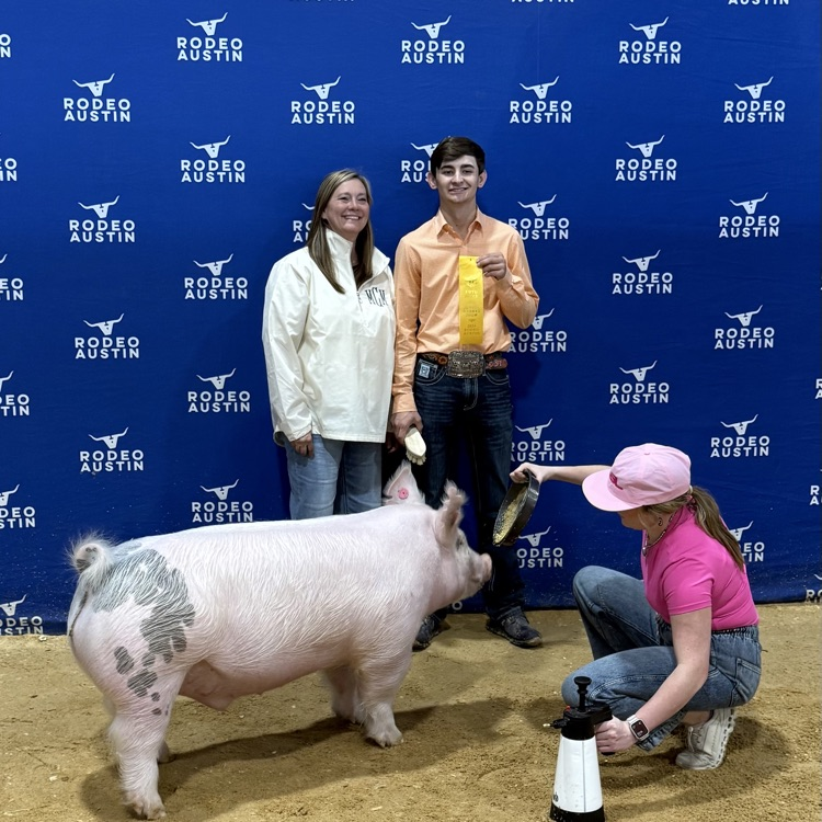 pig show