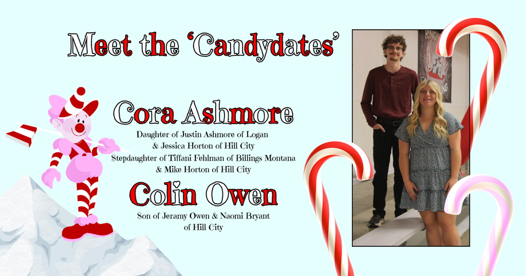 Candidate Flyer
