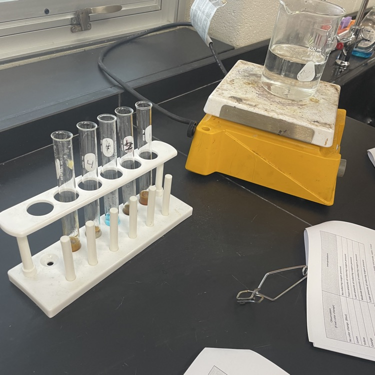 scienxescience