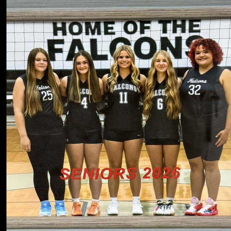 vb