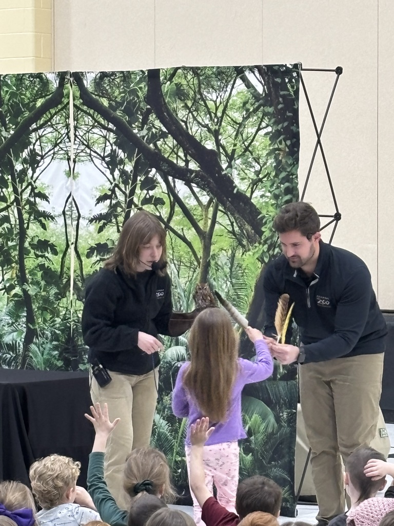 A brave Kindergarten student comparing an owl feather to the feathers on our visiting owl.