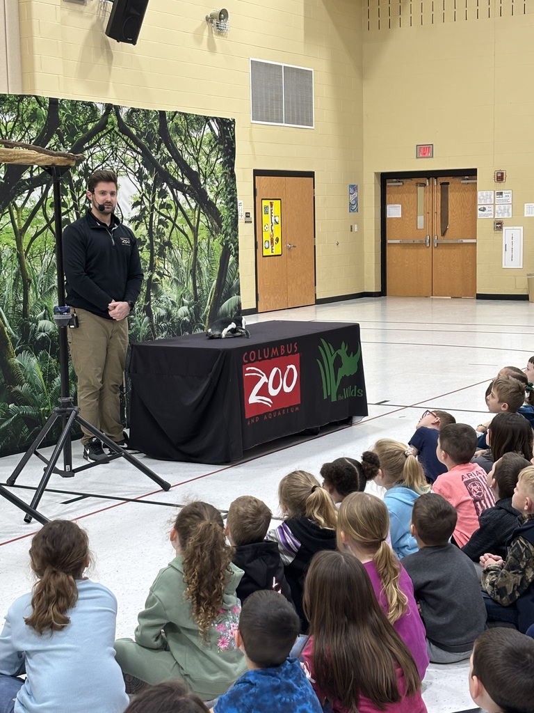 A friendly penguin laying down to show he is comfortable