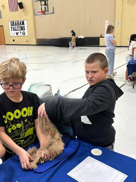 Students exploring how different animal footprints might look like and why they are different.