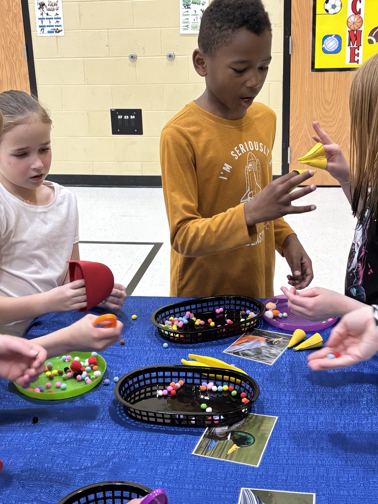 Students working with all different types of bird beaks and how they operate differently.