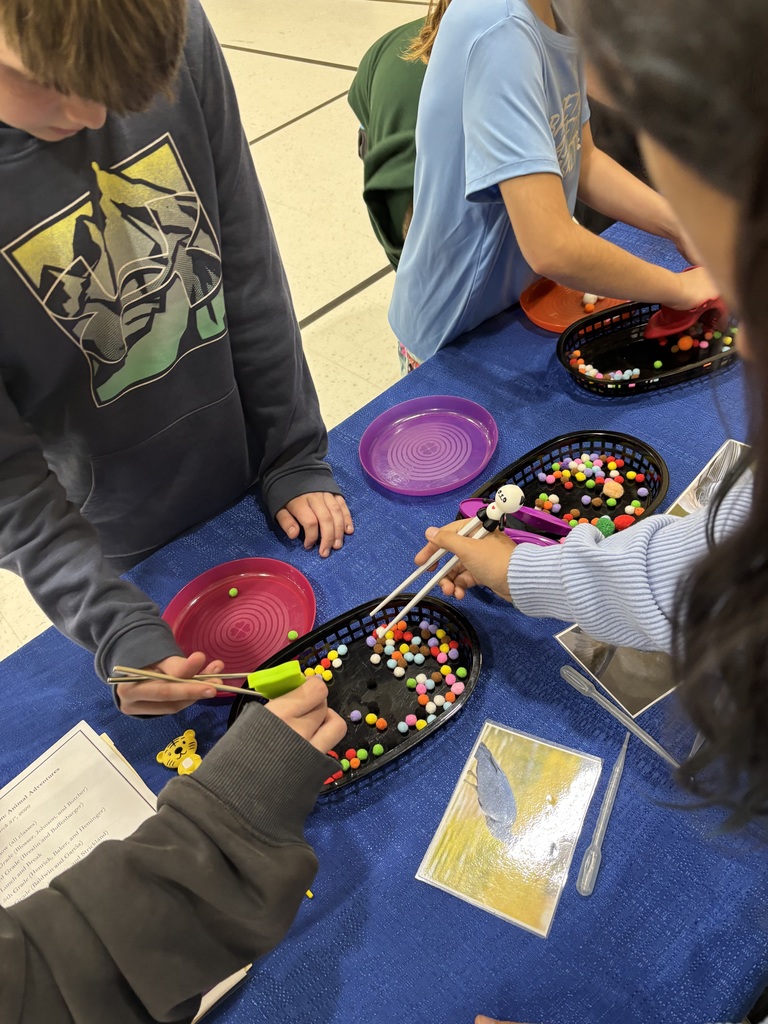 Students working with all different types of bird beaks and how they operate differently.