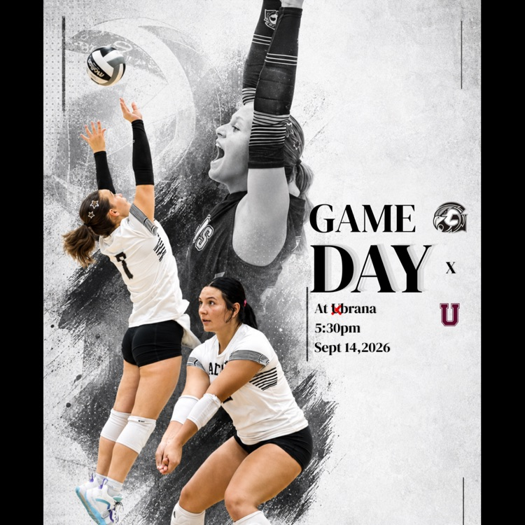 game vball