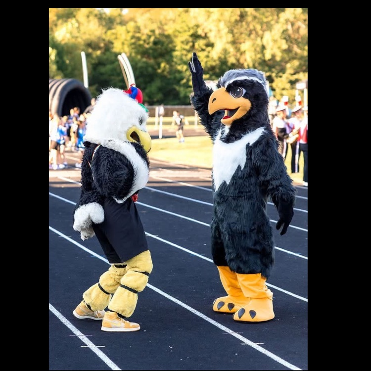 Falcons
