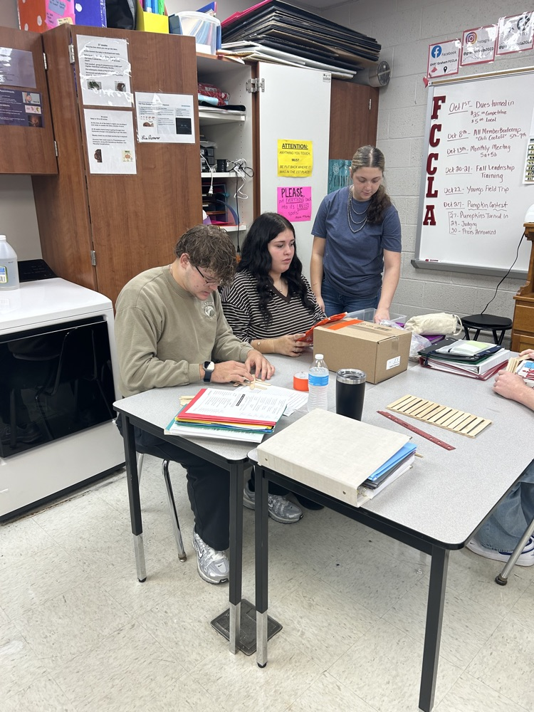 leadership project